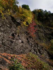 looking up at the gorge wall