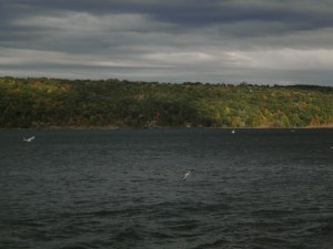 looking across Cayuga Lake