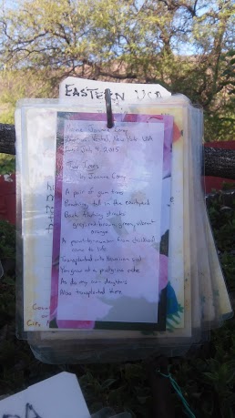 my poem on the poet-tree