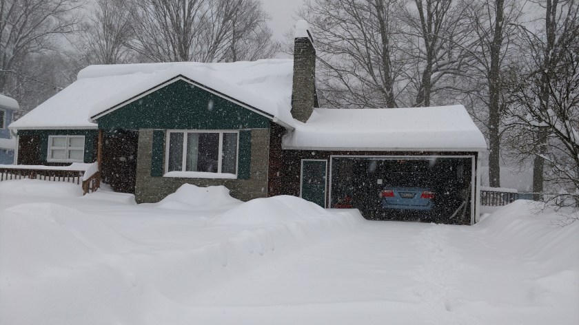 IMG_20170314_104310887