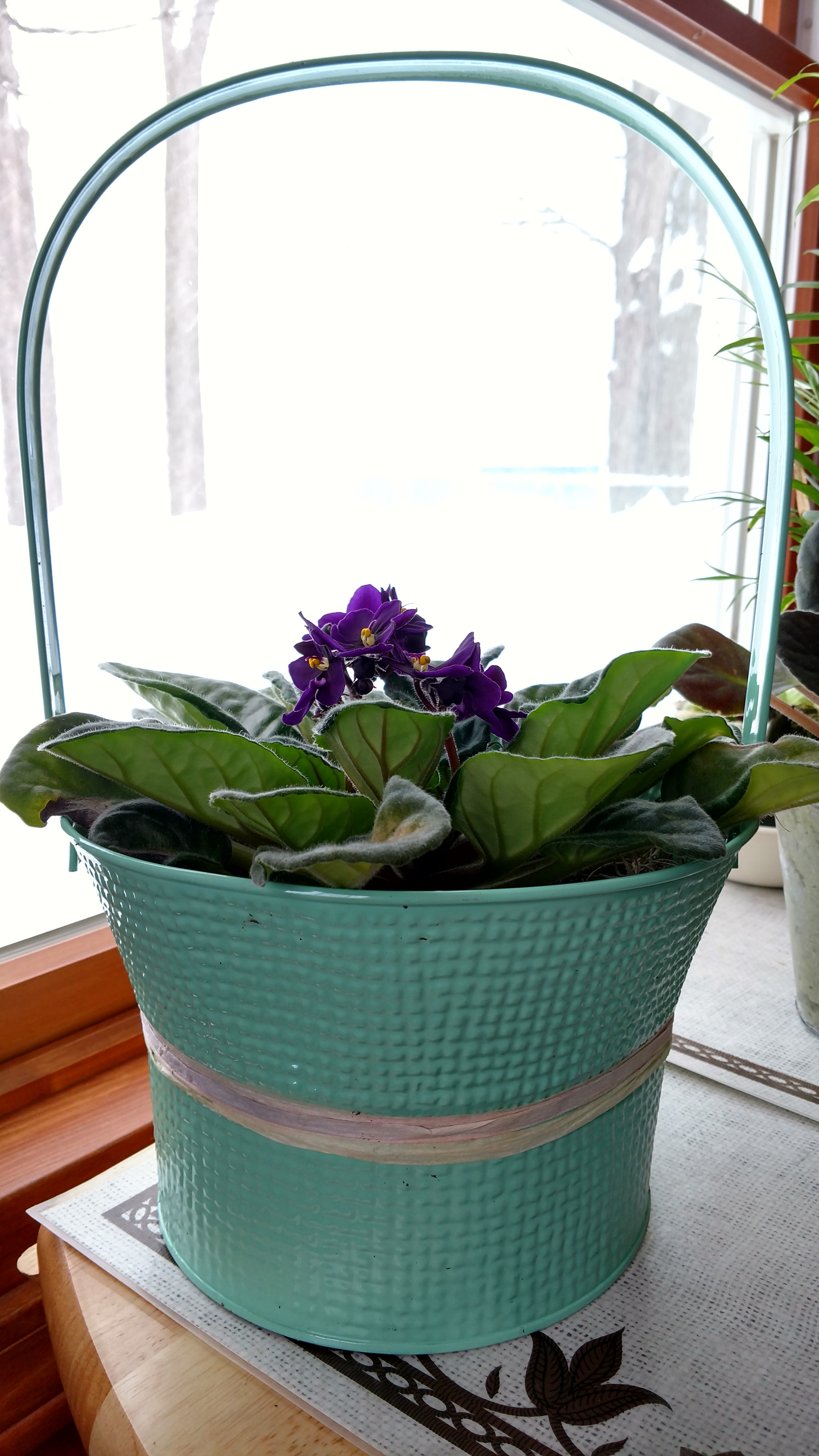 IMG_20170314_112853788_HDR