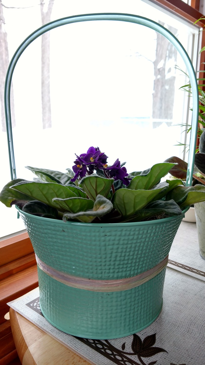 IMG_20170314_112853788_HDR