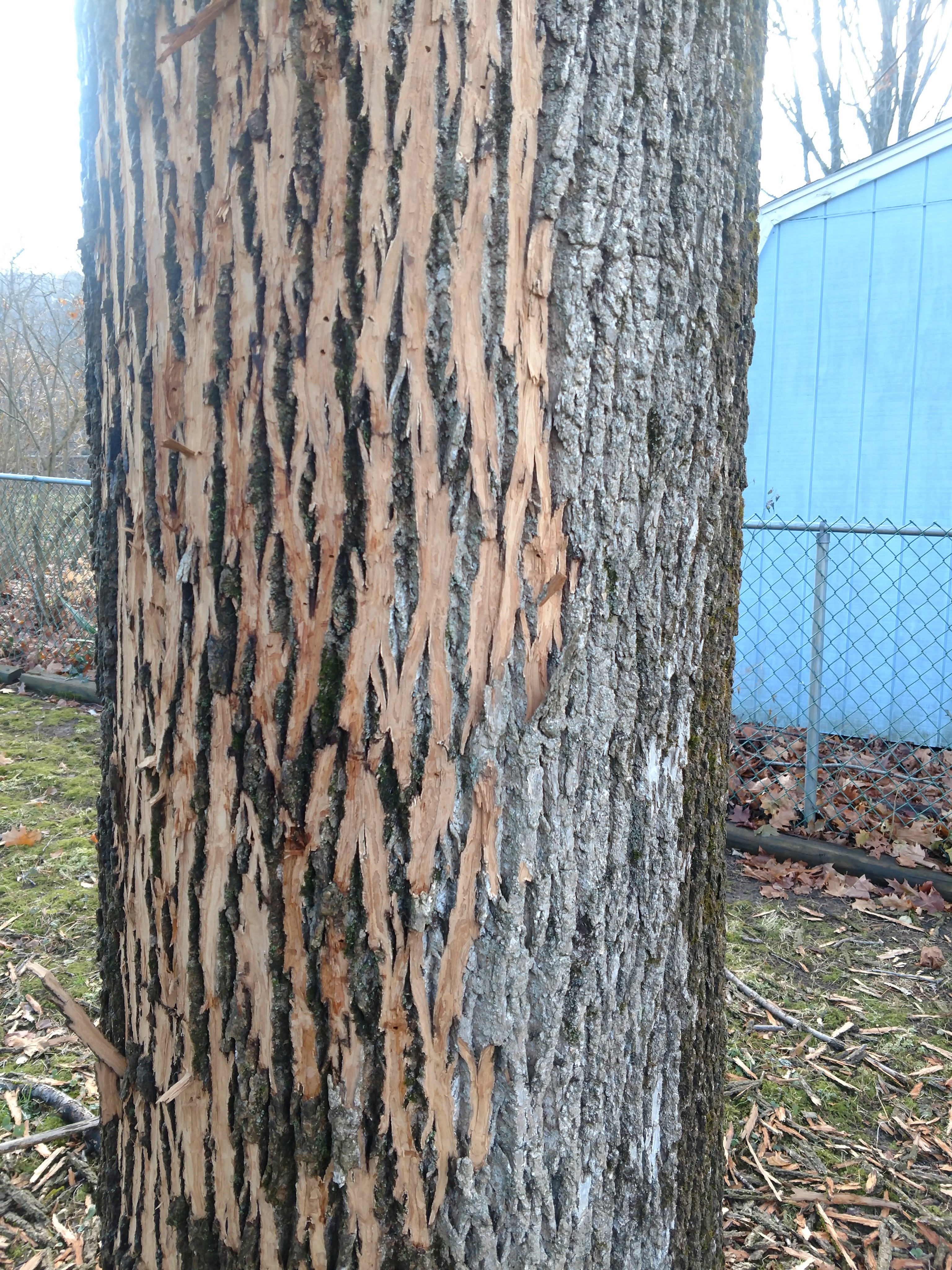 img_20191124_153209832