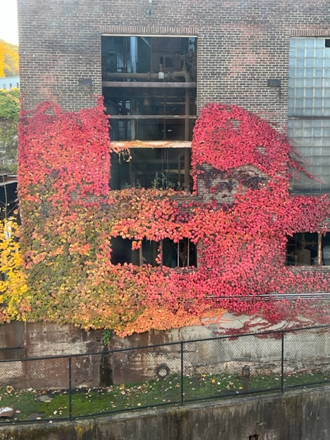 reflections on BHPC residency&nbsp;’23