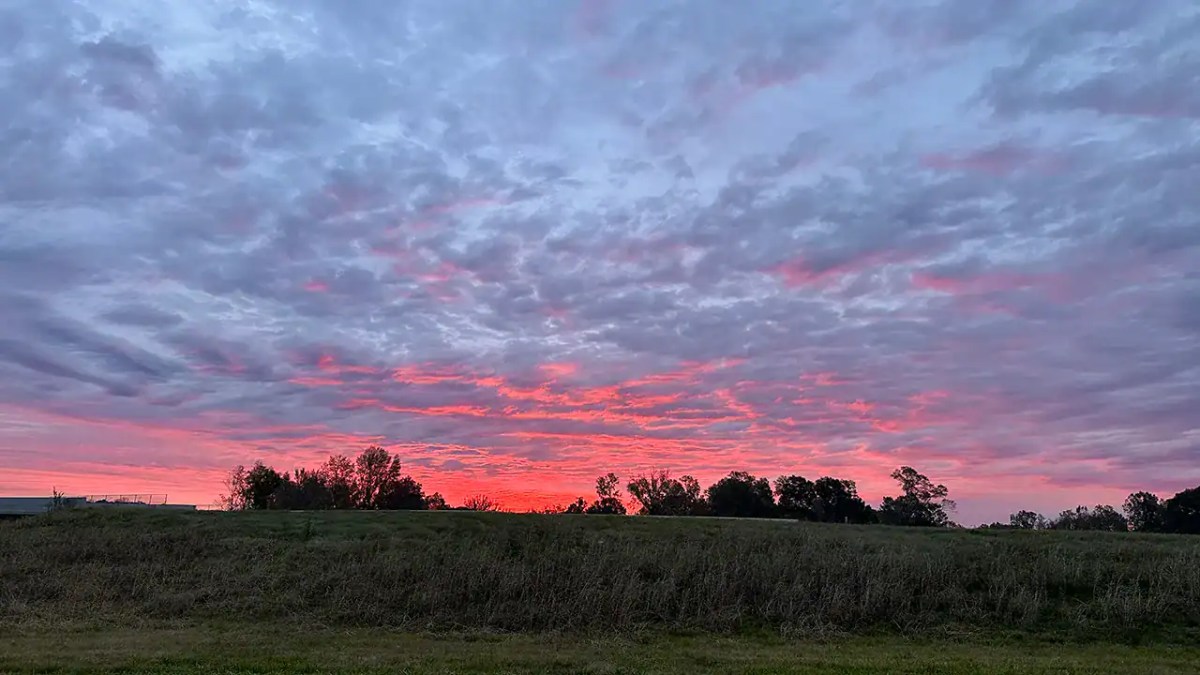 New essay by Ellen Morris&nbsp;Prewitt